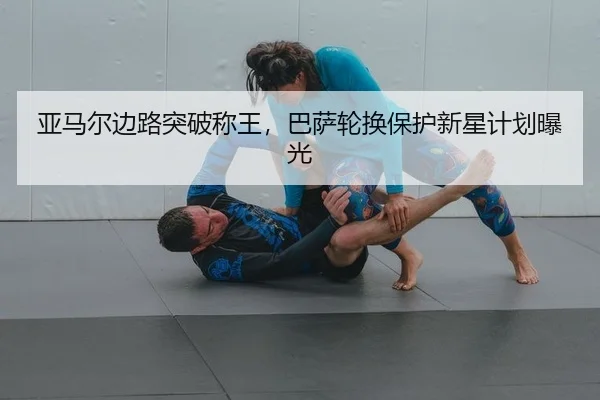 ya-ma-er-bian-lu-tu-po-cheng-wang-ba-sa-lun-huan-bao-hu-xin-xing-ji-hua-bao-guang-2-460.jpg